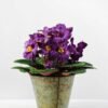 19cm Violet Silk Flower in Metal Pot 8 19cm Violet Silk Flower in Metal Pot