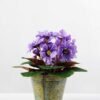 19cm Violet Silk Flower in Metal Pot 9 19cm Violet Silk Flower in Metal Pot