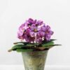 19cm Violet Silk Flower in Metal Pot 10 19cm Violet Silk Flower in Metal Pot