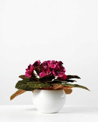16cm Violet Silk Flower  in Ceramic pot Potted Flowers&Plants YeahFlower is one of Chinese leading OEM manufacturers and exporters , supplying the silk flowers, wholesale artificial trees 16cm Violet Silk Flower  in Ceramic pot