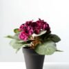 16cm Violet Silk Flower  in Plastic pot 3 16cm Violet Silk Flower  in Plastic pot