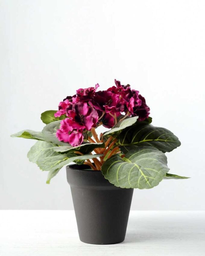 16cm Violet Silk Flower  in Plastic pot 3 16cm Violet Silk Flower  in Plastic pot
