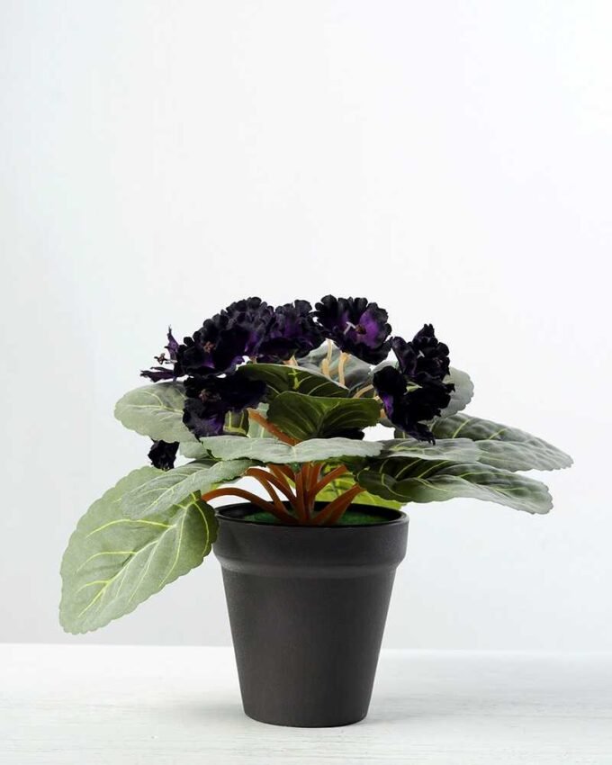16cm Violet Silk Flower  in Plastic pot 6 16cm Violet Silk Flower  in Plastic pot