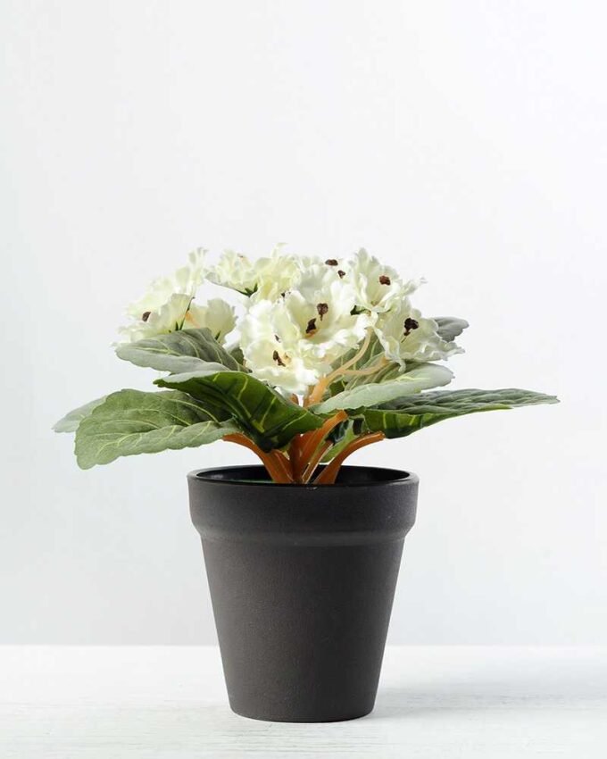 16cm Violet Silk Flower  in Plastic pot 7 16cm Violet Silk Flower  in Plastic pot