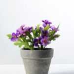14cm Wild  Silk Flower  in Paper Pulp pot