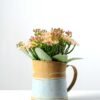 17cm Wild  Silk Flower  in Metal Jug