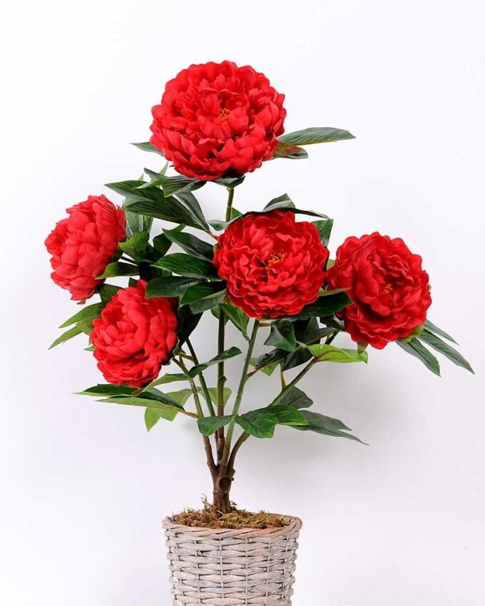 35*57CM Peony Bush*5 GS-0010114