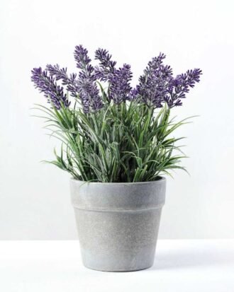 paper potted lavender H:9" GS-0330170SFJ