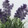 paper potted lavender H:9" GS-0330170SFJ 2 paper potted lavender H:9" GS-0330170SFJ