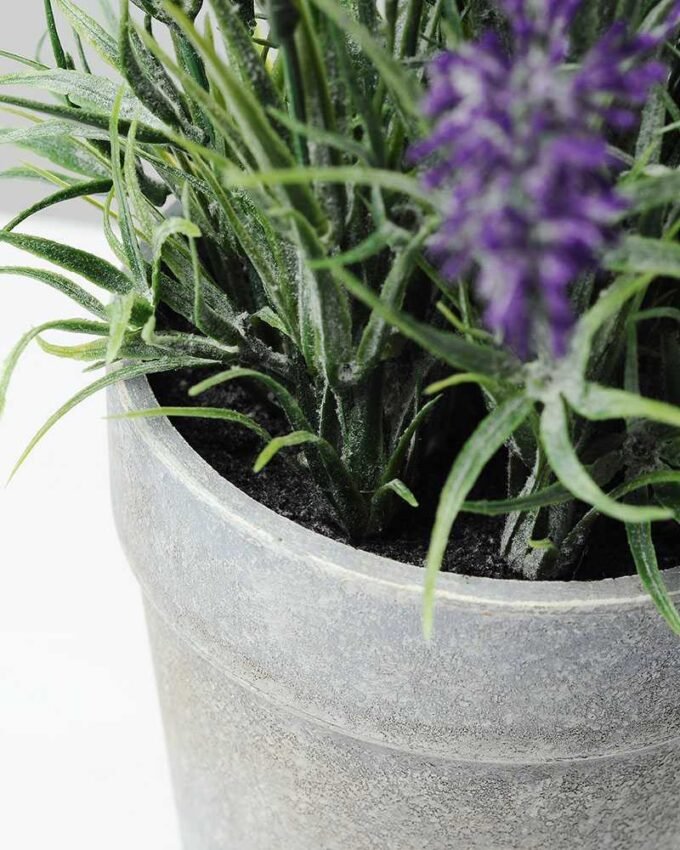 paper potted lavender H:9" GS-0330170SFJ 3 paper potted lavender H:9" GS-0330170SFJ