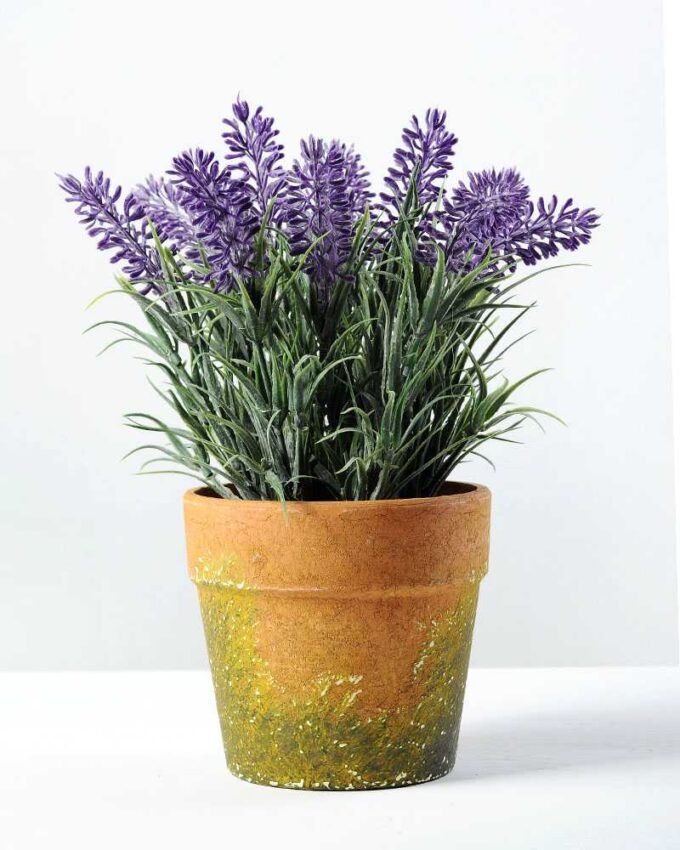 paper potted lavender H:9" GS-0330170TSFJ