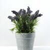 paper potted lavender H:9" GS-0330170 1 paper potted lavender H:9" GS-0330170