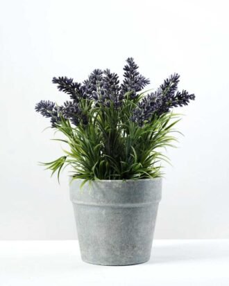 paper potted lavender H:9" GS-0330170