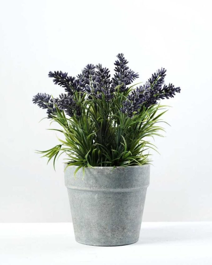 paper potted lavender H:9" GS-0330170 1 paper potted lavender H:9" GS-0330170