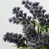 paper potted lavender H:9" GS-0330170 2 paper potted lavender H:9" GS-0330170