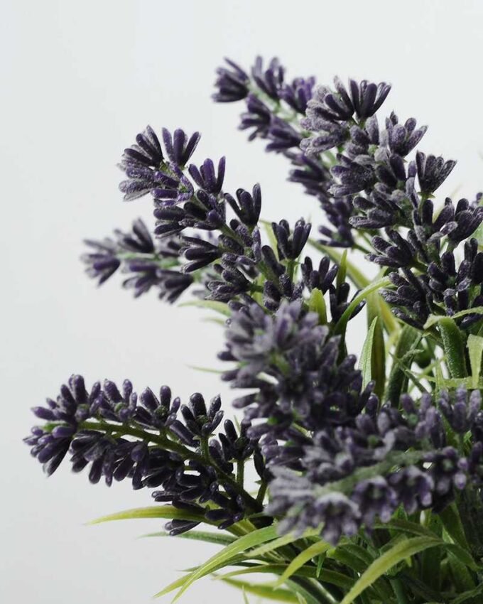 paper potted lavender H:9" GS-0330170 2 paper potted lavender H:9" GS-0330170
