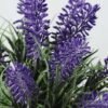 LAVENDER IN PAPER POT GS-0330544TSFJ