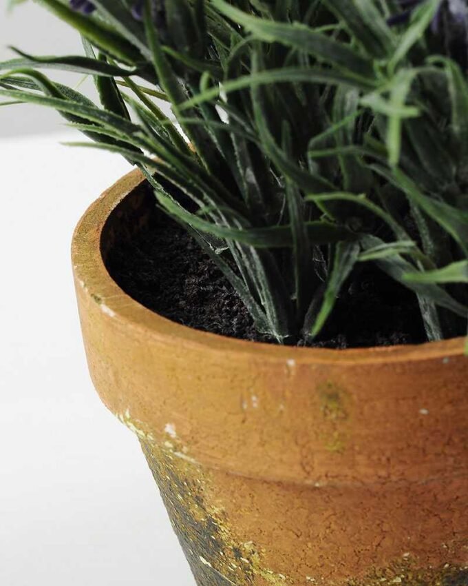 LAVENDER IN PAPER POT GS-0330544TSFJ