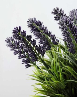 19CM LAVENDER IN PAPER POT GS-0330619