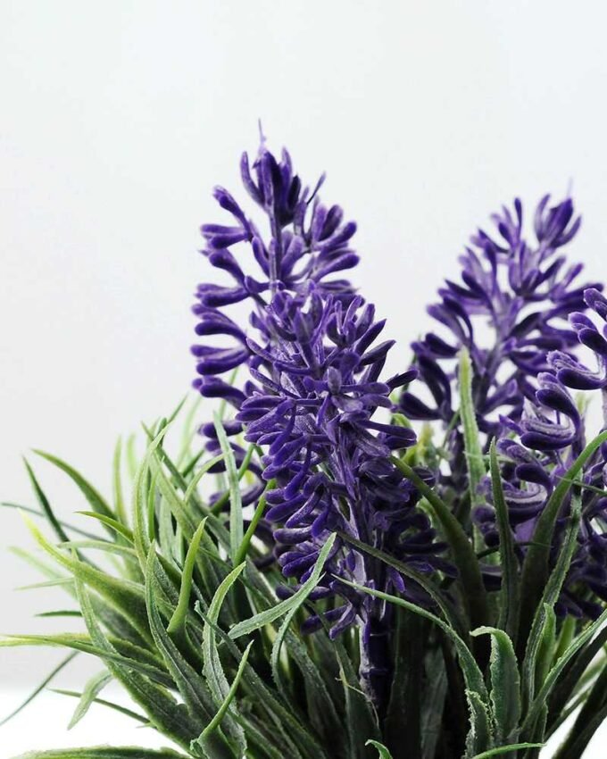 LAVENDER IN PAPER POT GS-0330639TL-SFJ 2 LAVENDER IN PAPER POT GS-0330639TL-SFJ