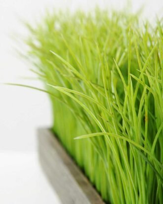 14CM Wood pot grass GS-0330652BR