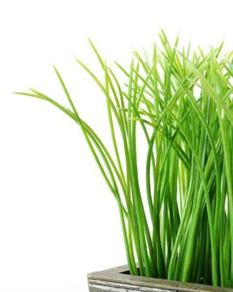 13CM GRASS IN  WOOD POT GS-0330753BR Potted Flowers&Plants YeahFlower is one of Chinese leading OEM manufacturers and exporters , supplying the silk flowers, wholesale artificial trees 13CM GRASS IN  WOOD POT GS-0330753BR