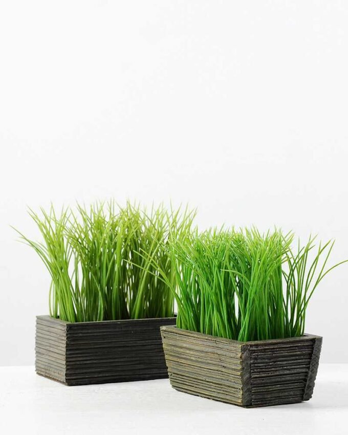 13CM GRASS IN  WOOD POT GS-0330753BR