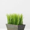 16CM Wood pot grass GS-0330757BR