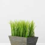 16CM Wood pot grass GS-0330757BR