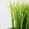 16CM Wood pot grass GS-0330757BR