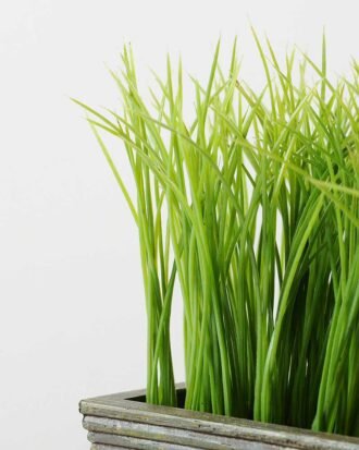 16CM Wood pot grass GS-0330757BR
