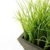16CM Wood pot grass GS-0330757BR