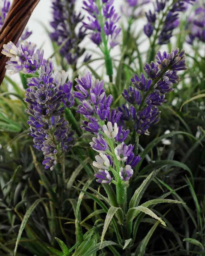28cm lavender in basket GS-0330960