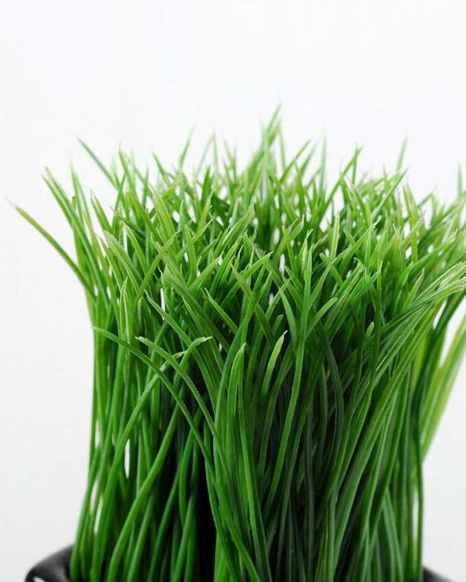 grass in ceramic pot H:6" GS-0330985 2 grass in ceramic pot H:6" GS-0330985