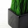 grass in ceramic pot H:6" GS-0330985 3 grass in ceramic pot H:6" GS-0330985