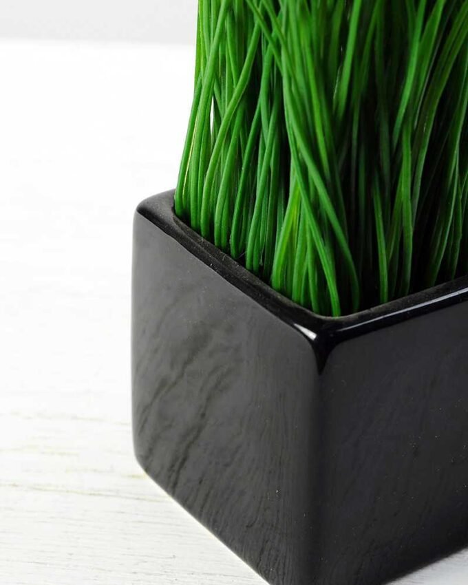 grass in ceramic pot H:6" GS-0330985 3 grass in ceramic pot H:6" GS-0330985