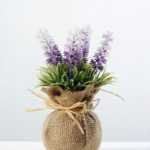 18cm flax potted lavender  GS-0338037