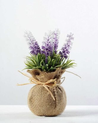18cm flax potted lavender  GS-0338037