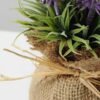 18cm flax potted lavender GS-0338037 3 18cm flax potted lavender GS-0338037