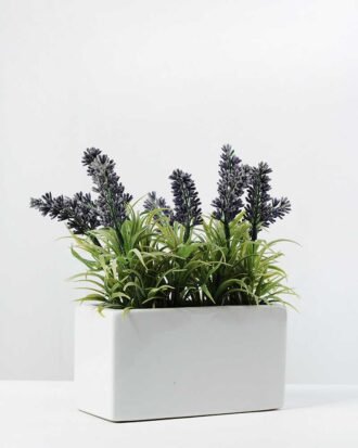 21cm lavender in ceramic pot GS-0338045A