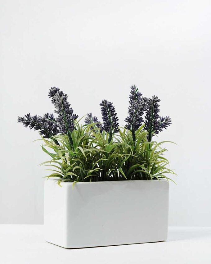 21cm lavender in ceramic pot GS-0338045A 1 21cm lavender in ceramic pot GS-0338045A