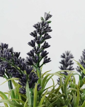 21cm lavender in ceramic pot GS-0338045A