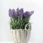 25cm LAVENDER IN WHITE BASKET  GS-0338054SFJ