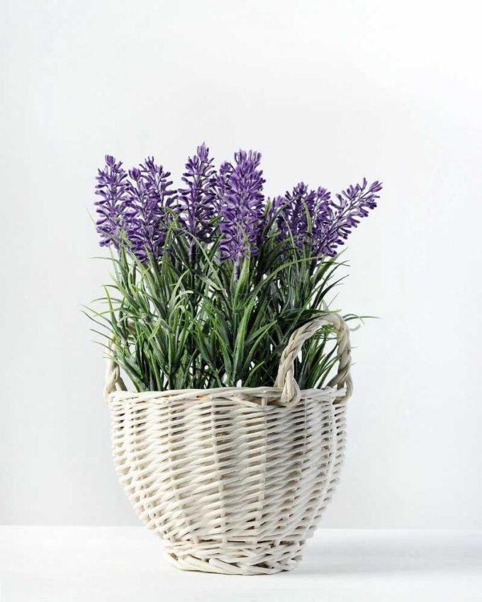 25cm LAVENDER IN WHITE BASKET  GS-0338054SFJ