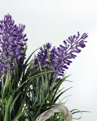 25cm LAVENDER IN WHITE BASKET  GS-0338054SFJ