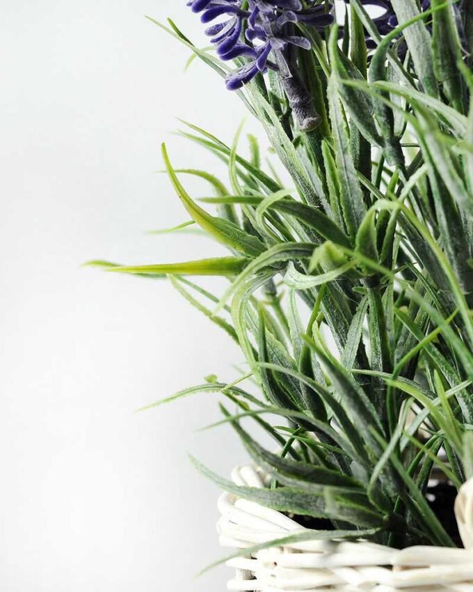 25cm LAVENDER IN WHITE BASKET  GS-0338054SFJ