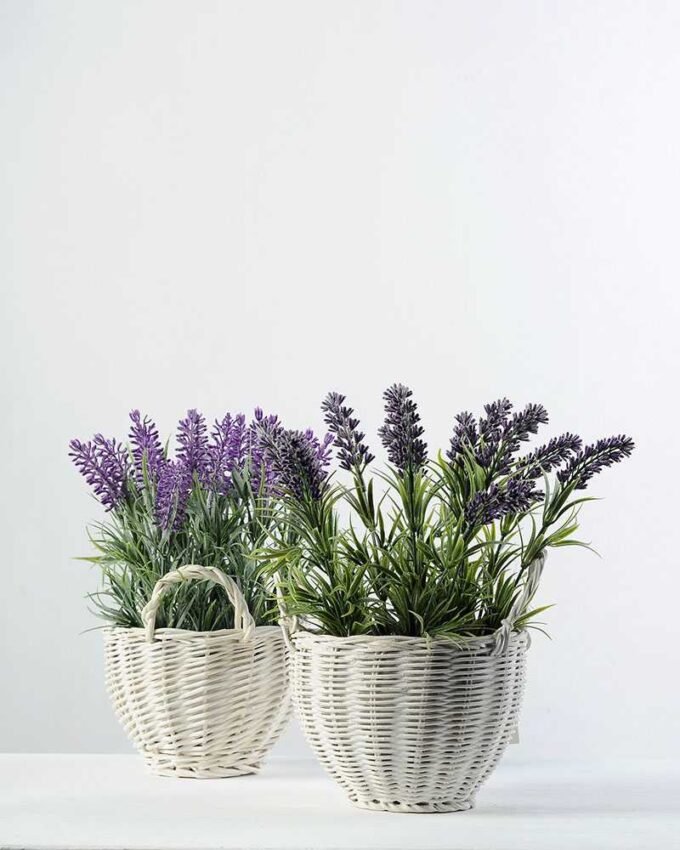 25cm LAVENDER IN WHITE BASKET  GS-0338054SFJ