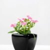 11cm milan flower in ceramic pot GS-0338104 1 11cm milan flower in ceramic pot GS-0338104