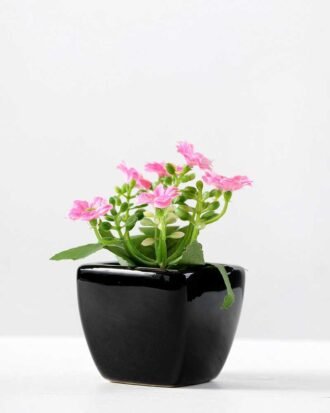 11cm milan flower in ceramic pot GS-0338104