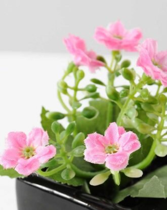 11cm milan flower in ceramic pot GS-0338104